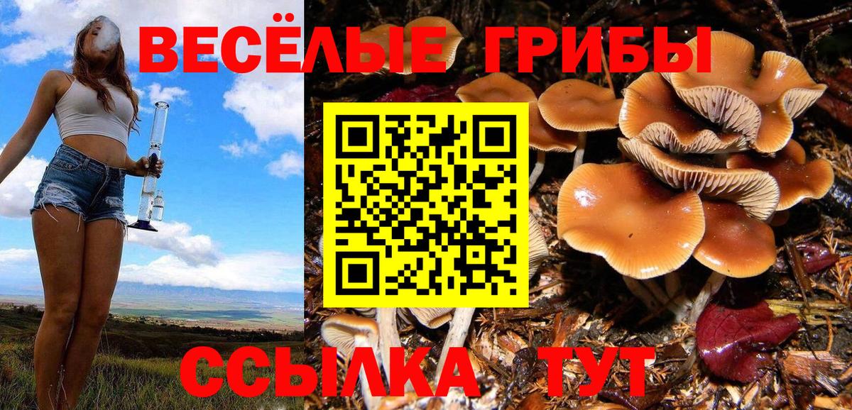 Псилоцибиновые грибы прущие грибы Прохладный