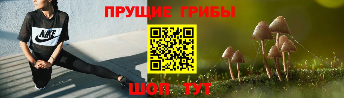 Прохладный  Галлюциногенные грибы GOLDEN TEACHER  Вход с VPN 