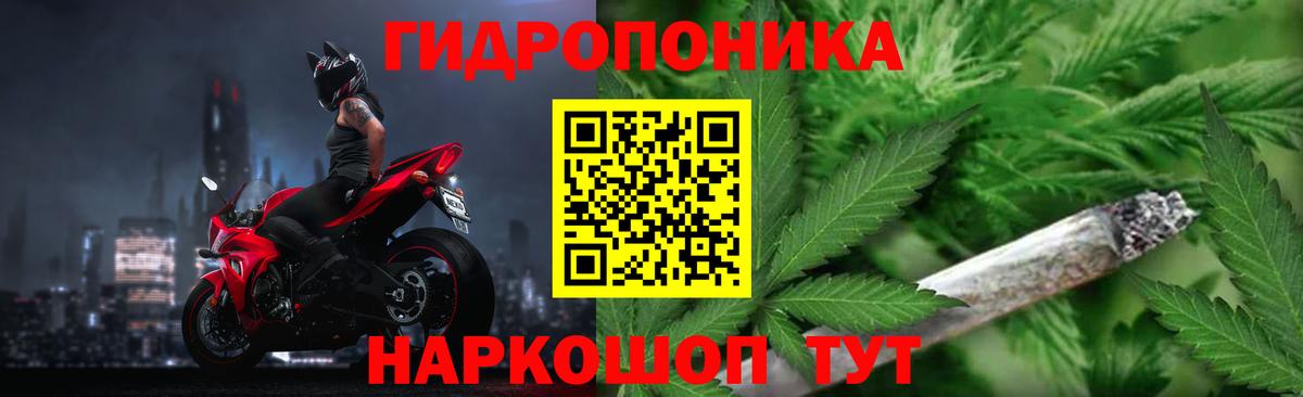 Канабис планчик  Вход с VPN  Каннабис VHQ  Прохладный  Шишки марихуана Ganja 